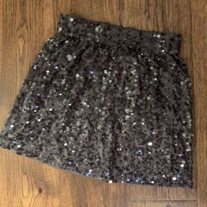Garnet Hill Sequin Skirt